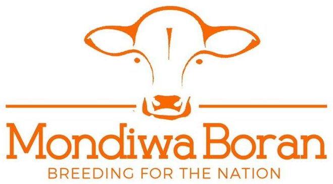 Mondiwa Boran